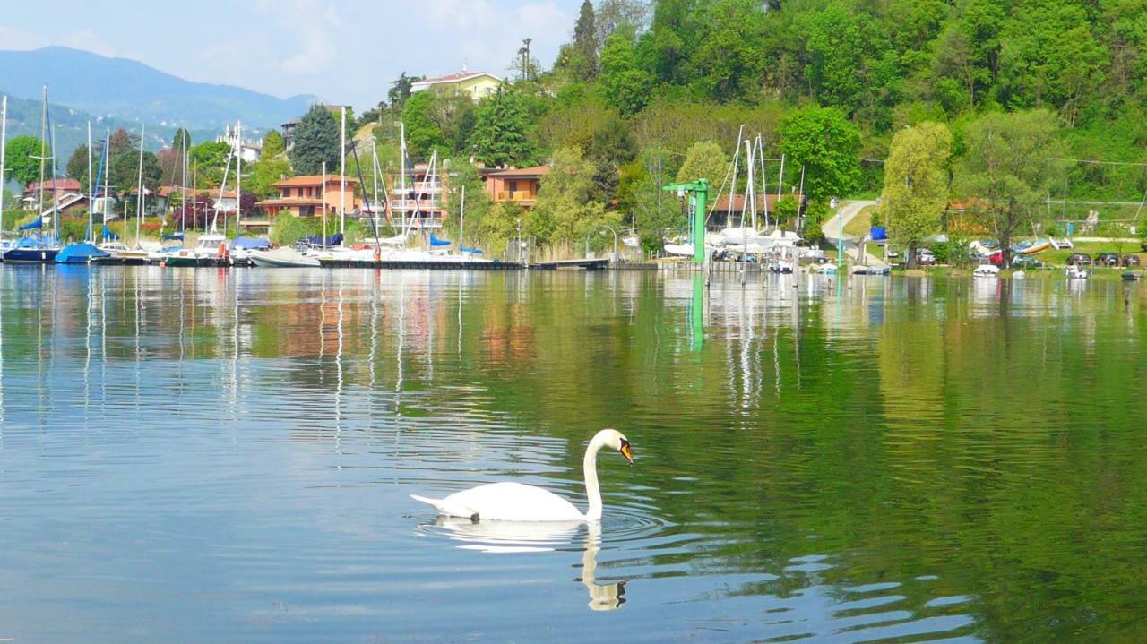 The Gulf Villa - Lago Maggiore Monvalle Kültér fotó