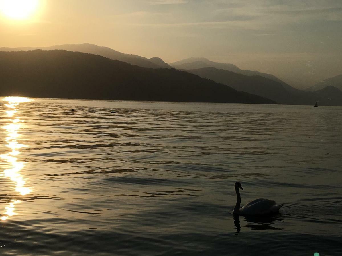 The Gulf Villa - Lago Maggiore Monvalle Kültér fotó