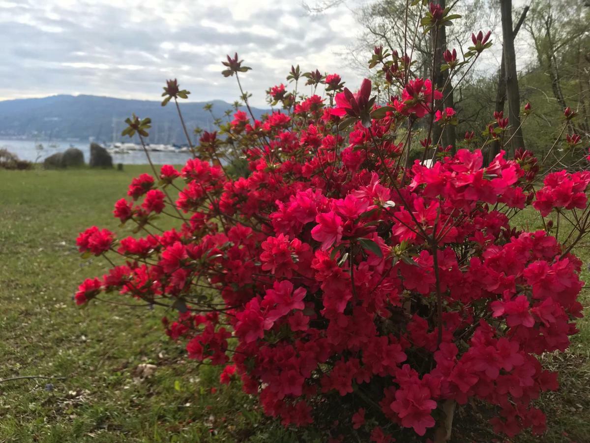 The Gulf Villa - Lago Maggiore Monvalle Kültér fotó
